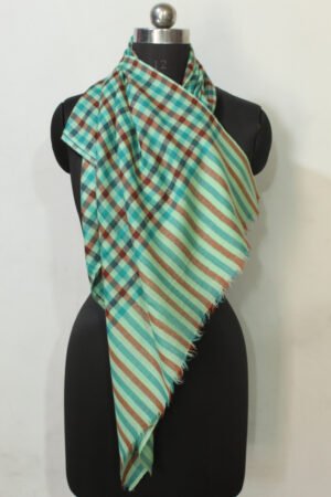 Pashmina Pistacho Wrap